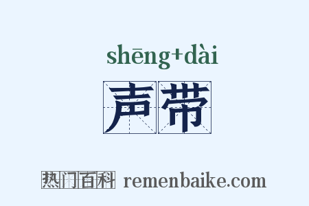声带是什么意思的图片
